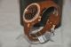 Esprit Es106222008 Damen Silikon Armbanduhr Uhr Braun Mit Strass Datum Tag Armbanduhren Bild 3