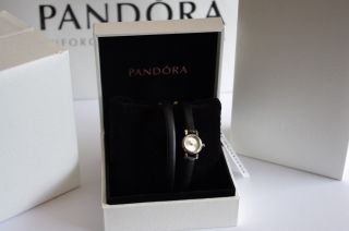Pandora Armbanduhr Watch Petit Circle 811034wh Bild