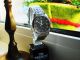 Tissot - Pr - 100 T - Classic Neues Modell - Neues Edelstahlband Top Uhr Armbanduhren Bild 6