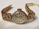 Bildschöne Antike Anker Damenuhr Handaufzug 60er Jahre Handaufzug Incabloc 17 St Armbanduhren Bild 3
