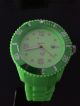 Ice Watch Ice - Forever Green Big Neon Grün Si.  Gn.  B.  09,  Ovp Neuwertig Armbanduhren Bild 1