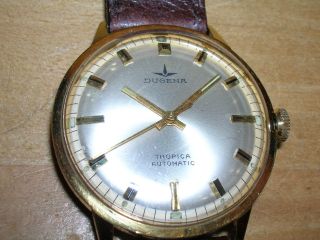 Dugena Tropika Automatic Armbanduhr; Ref.  95456 18 - 29,  60er Jahre, Bild