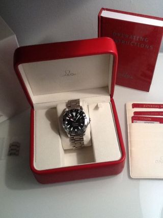 Omega Seamaster Gmt Professional Automatic Bild