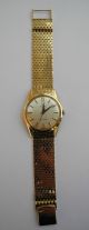 Omega Seamaster 750er Gold Armbanduhren Bild 1