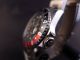 Alpha Gmt Automatic Diver Mit Stahlarmband Und Schwarz - Roter Lünette Armbanduhren Bild 1