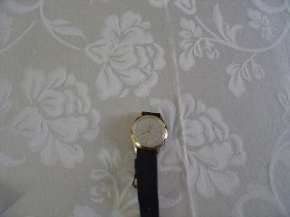 Herrenarmbanduhr,  Schweizer Armbandwecker,  Hoga, Bild