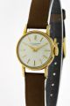 Vintage Iwc - International Watch&co Damen 14kt.  Gold Handaufzug Formwerk Kal.  41 Armbanduhren Bild 1