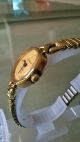 Schöne Glashütte Damen Armbanduhr Vergoldet Armbanduhren Bild 1