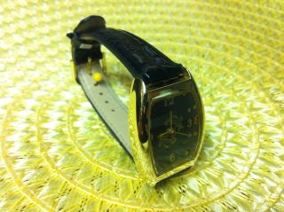 Wunderschöne Vergoldete Edle Damen Armbanduhr Uhr Chronograph Horoskop Fische Bild
