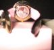 Schicke Damenuhr Paris Hilton Ph.  13575jsg/22 Strass Kroko - Armband Uvp 299€ Armbanduhren Bild 1