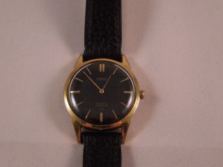 Berg Armbanduhr Gold 21 Rubis Incabloc Handaufzug Vintage 60er Jahre Bild
