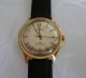 Vintage Timex Armbanduhr,  Automatic,  Neuwertiger,  Läuft Sehr Gut Armbanduhren Bild 2