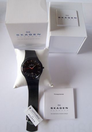 Skagen Denmark Watch Uhr Herrenuhr Titanium Bild