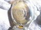 ,  Zodiac 1882 Professional - 200 Meters,  Herrenuhr In Ovp Armbanduhren Bild 2