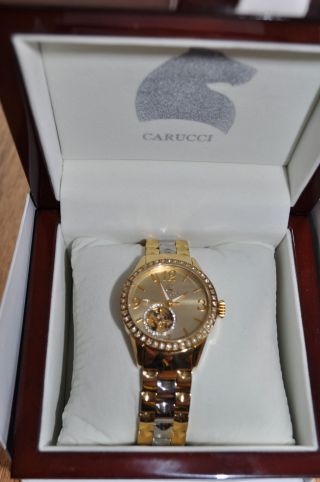 Carucci Watches Damen - Armbanduhr Analog Automatik Edelstahl Ca2197gd Bild