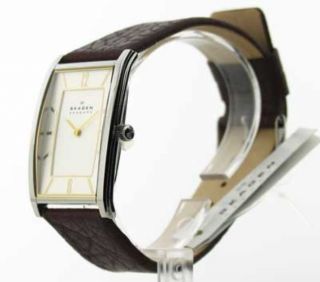Herren Skagen Leder Armbanduhr Modisch Uhr 294lsl1 Bild