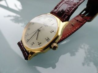 Unisex Armbanduhr Pallas Para Hau Vergoldet Leder Handaufzug - Top Retro Bild