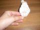 Neuwertige Ice Watch Armbanduhr Unisex Sili Forever Big Big Weiss - Armbanduhren Bild 2